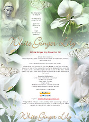 White Ginger Lily Essential Oil from the Flower